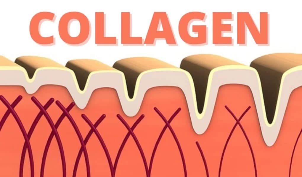 အသားအရေရဲ့ Collagen ကို မြှင့်တင်ပေးနိုင်မယ့် နည်းလမ်း ( ၅ ) ခု