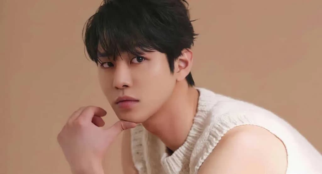 Ahn Hyo Seop ရဲ့ Top 5 Dramas များ