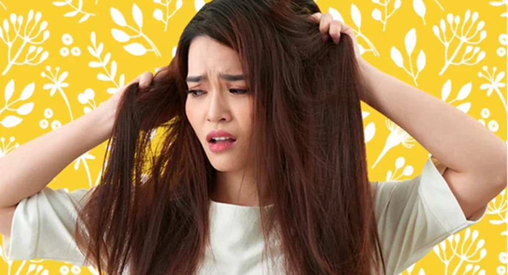ဆံသားက Damage Tresses ဖြစ်နေသူများအတွက် ပုံမှန်လုပ်ပေးသင့်တဲ့အရာ 4 ခု
