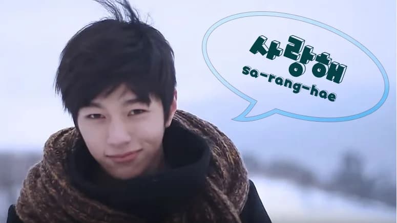 K-Pop/Drama Fan တစ်ယောက်ဖြစ်ရင် သိကိုသိထားသင့်တဲ့ ကိုရီးယားစကားလုံးများ