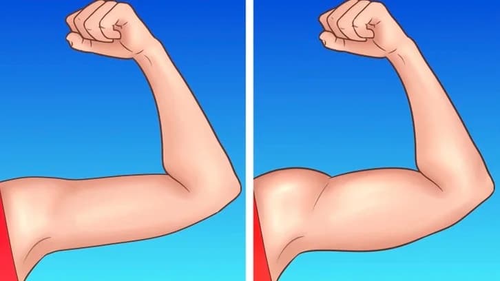 လက်မောင်း Muscles ထွက်ချင်တဲ့သူတွေအတွက် လေ့ကျင့်ခန်း ၇ ခု