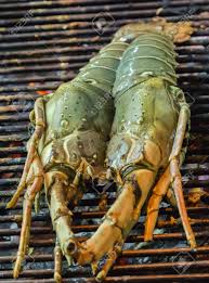 Grill Lobster 1
