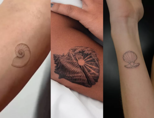 ပင်လယ်ချစ်သူတွေ ရွေးသင့်တဲ့ Shell Tattoo Ideas များ