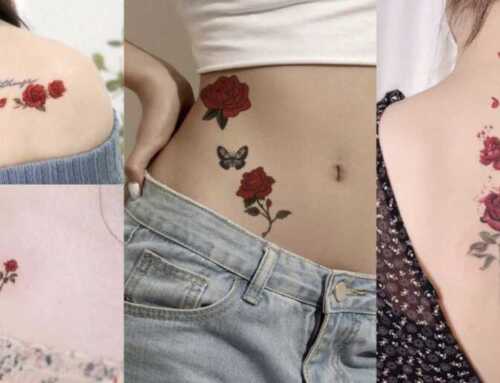 နှင်းဆီပန်းကြိုက်တဲ့မိန်းကလေးတွေအတွက် အရမ်းလှတဲ့ Rose Tattoo Design များ