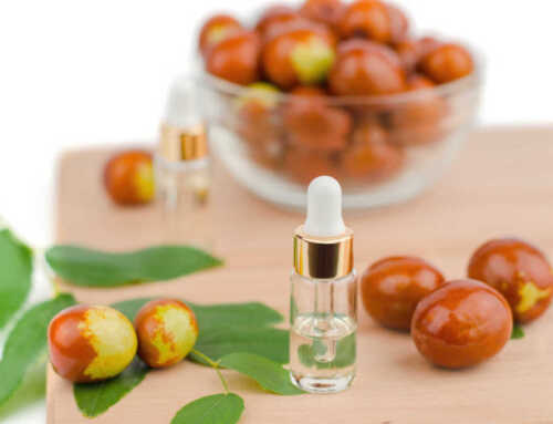 ဆံပင်ကို သန်မာစေပြီး ကြီးထွားစေဖို့ Jojoba Oil ကို ဘယ်လိုသုံးမလဲ ?